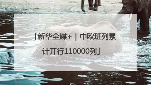 新华全媒+｜中欧班列累计开行110000列
