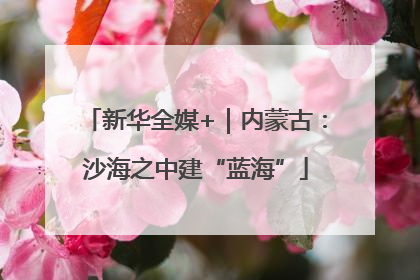 新华全媒+｜内蒙古：沙海之中建“蓝海”