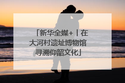 新华全媒+丨在大河村遗址博物馆寻溯仰韶文化