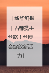 新华鲜报｜古都携手丝路！丝博会绽放新活力