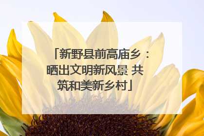 新野县前高庙乡：晒出文明新风景 共筑和美新乡村