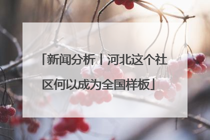 新闻分析丨河北这个社区何以成为全国样板