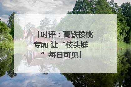 时评：高铁樱桃专厢 让“枝头鲜”每日可见