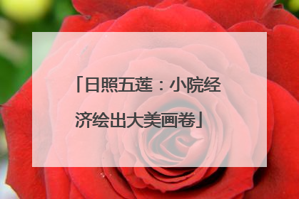 日照五莲：小院经济绘出大美画卷