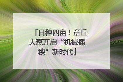 日种四亩！章丘大葱开启“机械插秧”新时代