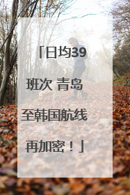 日均39班次 青岛至韩国航线再加密！