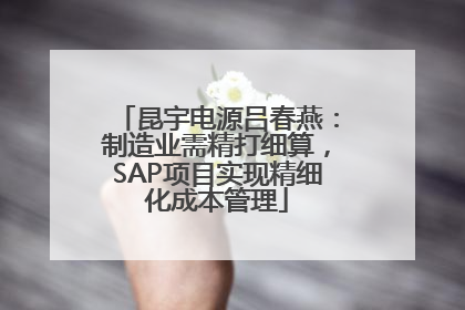 昆宇电源吕春燕：制造业需精打细算，SAP项目实现精细化成本管理