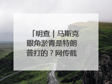 明查｜马斯克眼角淤青是特朗普打的？网传截图是“高仿”