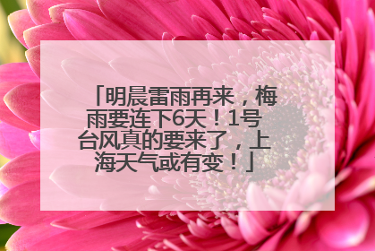 明晨雷雨再来，梅雨要连下6天！1号台风真的要来了，上海天气或有变！