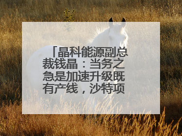 晶科能源副总裁钱晶：当务之急是加速升级既有产线，沙特项目正推进中