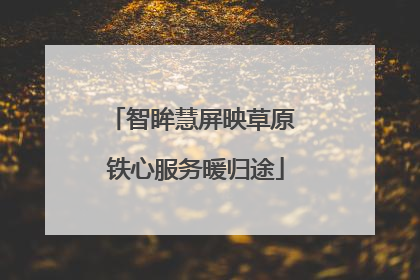 智眸慧屏映草原 铁心服务暖归途