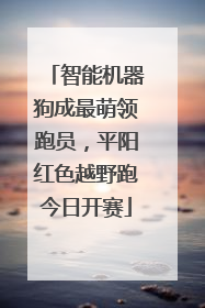 智能机器狗成最萌领跑员，平阳红色越野跑今日开赛