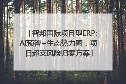 智邦国际项目型ERP:AI预警+生态热力图，项目超支风险归零方案