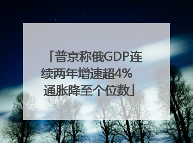 普京称俄GDP连续两年增速超4% 通胀降至个位数