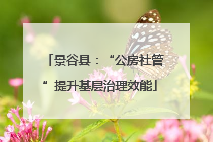 景谷县：“公房社管”提升基层治理效能