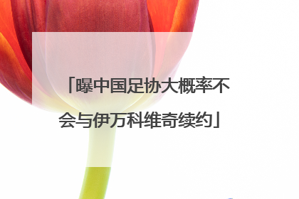 曝中国足协大概率不会与伊万科维奇续约