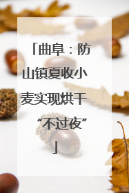 曲阜：防山镇夏收小麦实现烘干“不过夜”