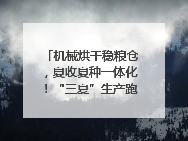 机械烘干稳粮仓，夏收夏种一体化！“三夏”生产跑出加速度｜麦报