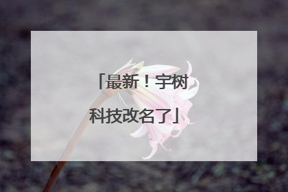 最新！宇树科技改名了