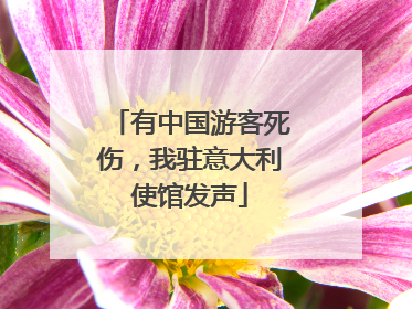 有中国游客死伤，我驻意大利使馆发声