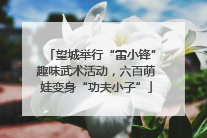 望城举行“雷小锋”趣味武术活动，六百萌娃变身“功夫小子”