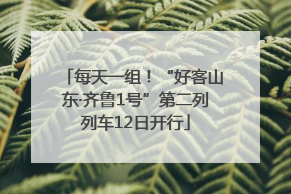 每天一组！“好客山东·齐鲁1号”第二列列车12日开行