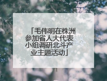 毛伟明在株洲参加省人大代表小组调研北斗产业主题活动