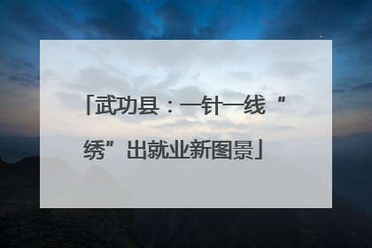 武功县：一针一线“绣”出就业新图景