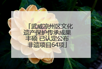 武威凉州区文化遗产保护传承成果丰硕 已认定公布非遗项目64项