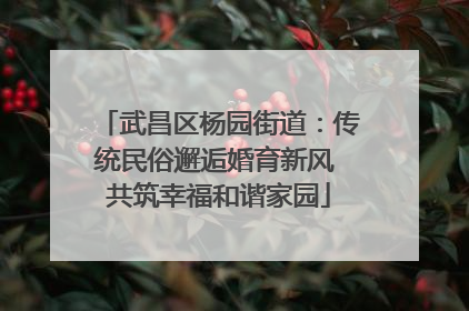 武昌区杨园街道：传统民俗邂逅婚育新风 共筑幸福和谐家园