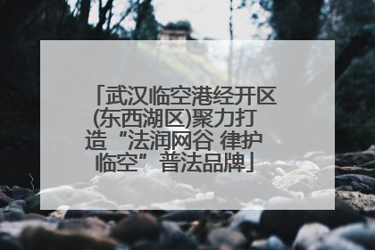 武汉临空港经开区(东西湖区)聚力打造“法润网谷 律护临空”普法品牌