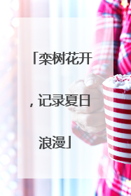栾树花开，记录夏日浪漫