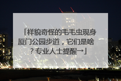 样貌奇怪的毛毛虫现身厦门公园步道，它们是啥？专业人士提醒→