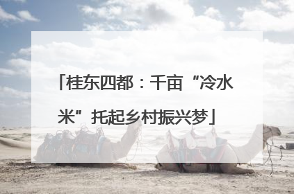桂东四都：千亩“冷水米”托起乡村振兴梦