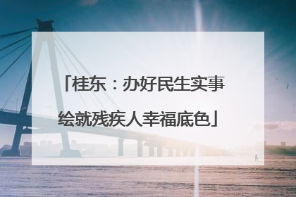 桂东：办好民生实事 绘就残疾人幸福底色