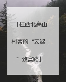 桂西北高山村寨的“云端”致富路