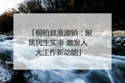 桐柏县淮源镇：聚焦民生实事 激发人大工作新动能