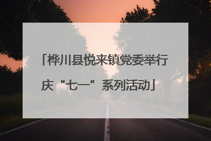 桦川县悦来镇党委举行庆“七一”系列活动