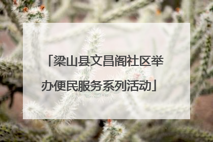 梁山县文昌阁社区举办便民服务系列活动