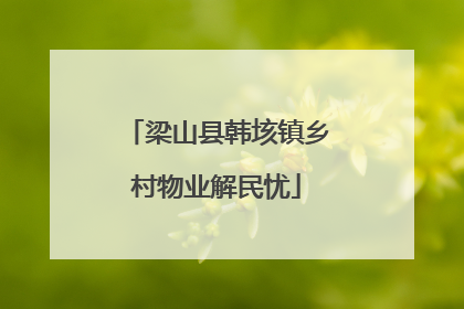 梁山县韩垓镇乡村物业解民忧