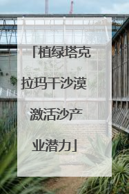 植绿塔克拉玛干沙漠 激活沙产业潜力