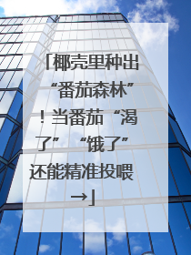 椰壳里种出“番茄森林”！当番茄“渴了”“饿了”还能精准投喂→