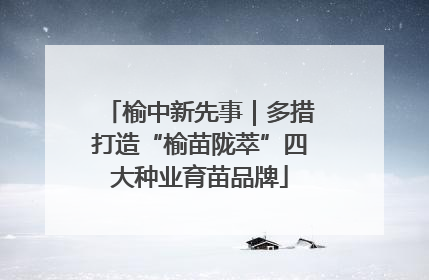 榆中新先事｜多措打造“榆苗陇萃”四大种业育苗品牌