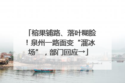 榕果铺路、落叶糊脸！泉州一路面变“溜冰场”，部门回应→