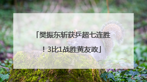 樊振东斩获乒超七连胜！3比1战胜黄友政