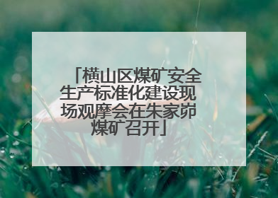 横山区煤矿安全生产标准化建设现场观摩会在朱家峁煤矿召开