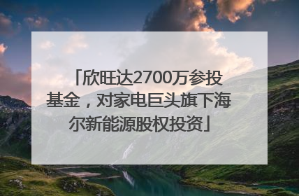 欣旺达2700万参投基金，对家电巨头旗下海尔新能源股权投资