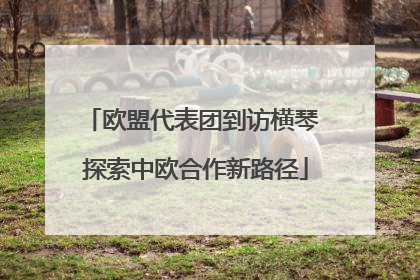 欧盟代表团到访横琴 探索中欧合作新路径
