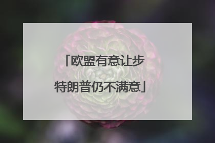 欧盟有意让步 特朗普仍不满意