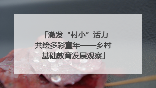 激发“村小”活力 共绘多彩童年——乡村基础教育发展观察